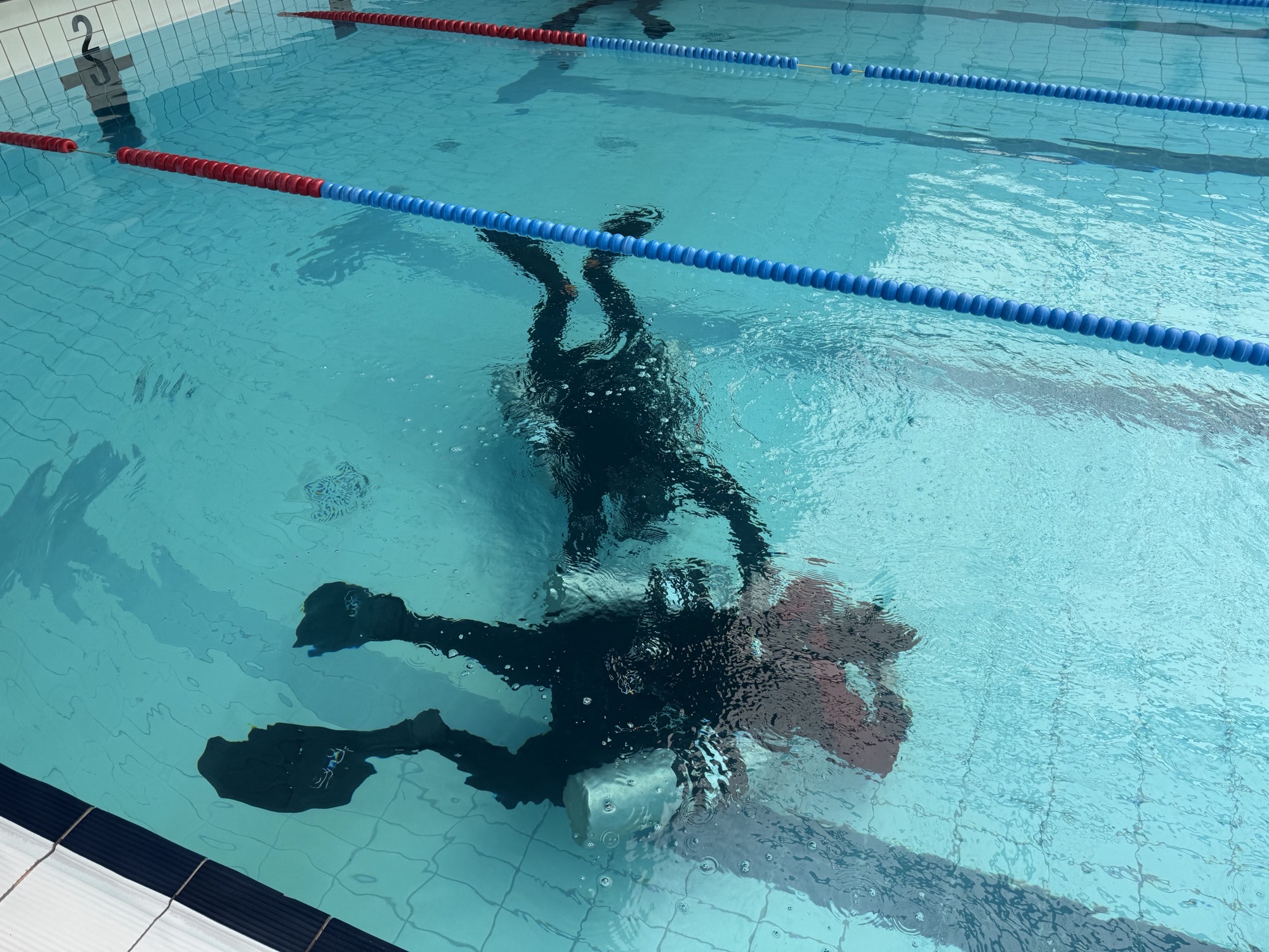 Overhead view of a diver practising skills in a training pool